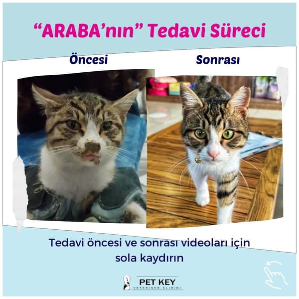 Pet Key Veteriner Kliniği - 10. Fotoğraf