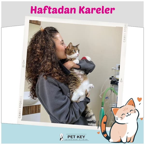 Pet Key Veteriner Kliniği - 2. Fotoğraf