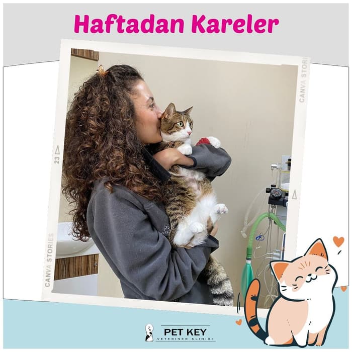 Pet Key Veteriner Kliniği - 2. Fotoğraf