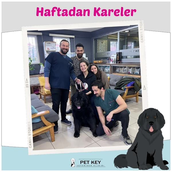 Pet Key Veteriner Kliniği - 9. Fotoğraf
