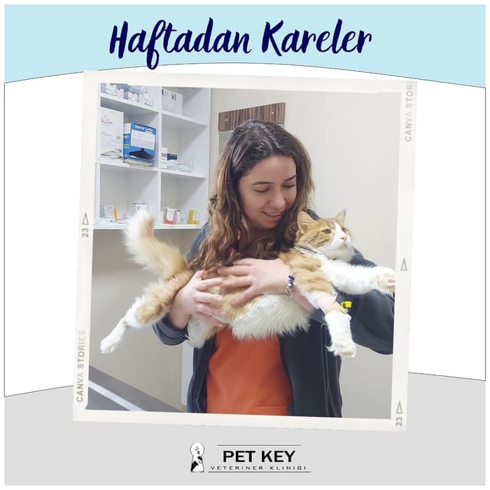 Pet Key Veteriner Kliniği - 3. Fotoğraf