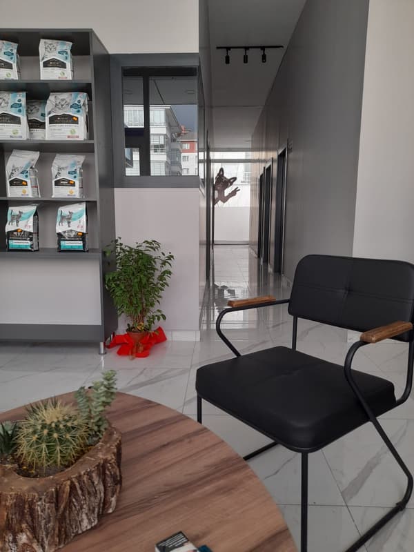 Vets Kent Veteriner Kliniği - 7. Fotoğraf