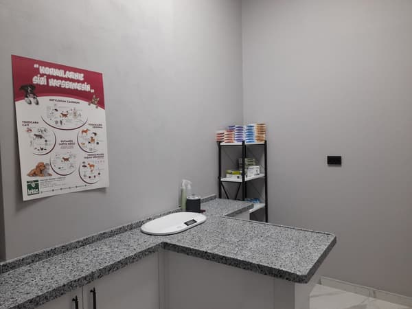 Vets Kent Veteriner Kliniği - 10. Fotoğraf