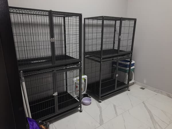 Vets Kent Veteriner Kliniği - 4. Fotoğraf