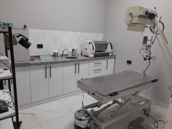 Vets Kent Veteriner Kliniği - 14. Fotoğraf