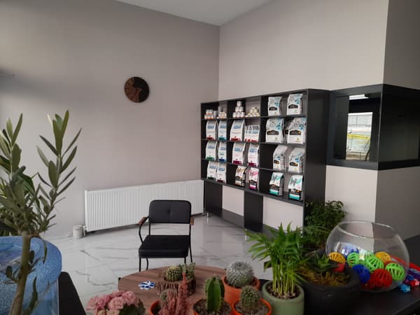 Vets Kent Veteriner Kliniği - 11. Fotoğraf