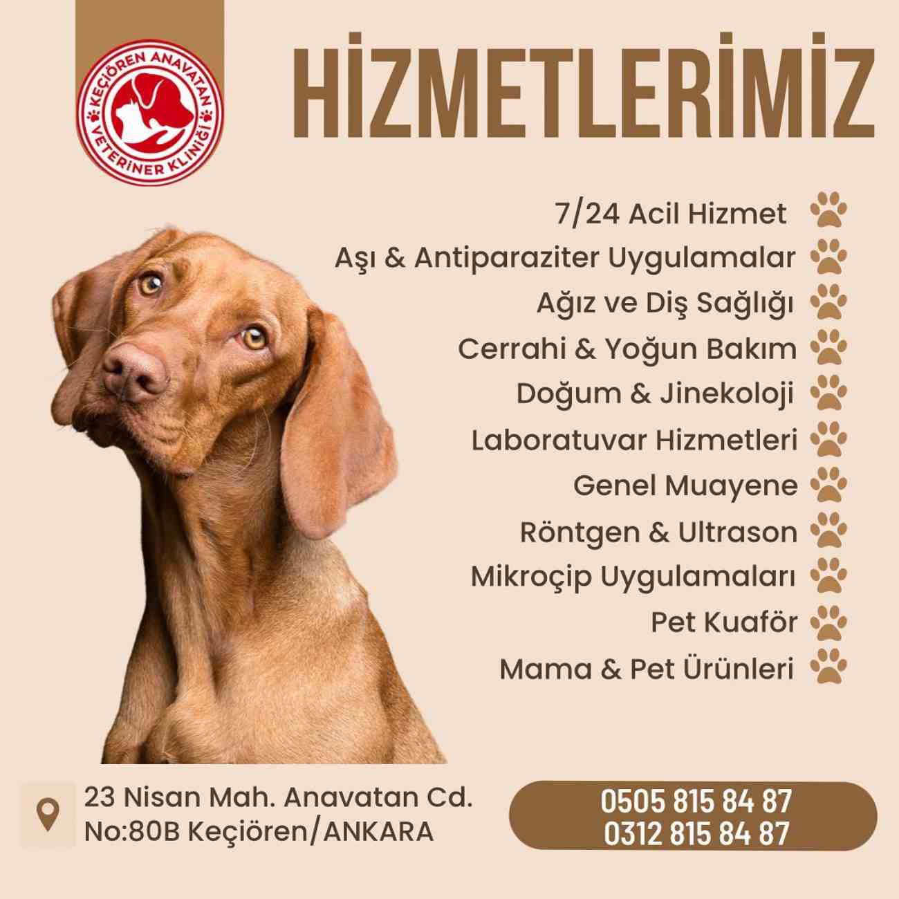 Keçiören Anavatan Veteriner Kliniği