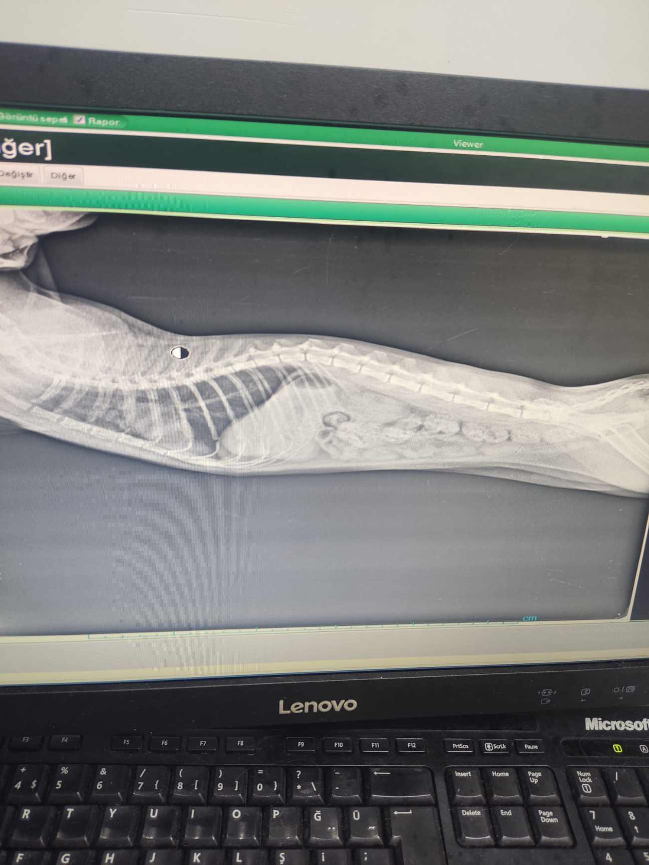 Keçiören Pınarbaşı Veteriner Kliniği