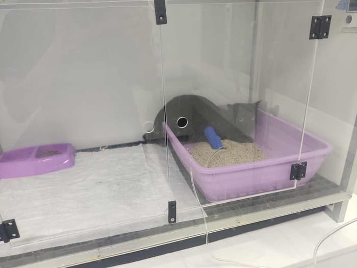 Keçiören Pınarbaşı Veteriner Kliniği - 3. Fotoğraf
