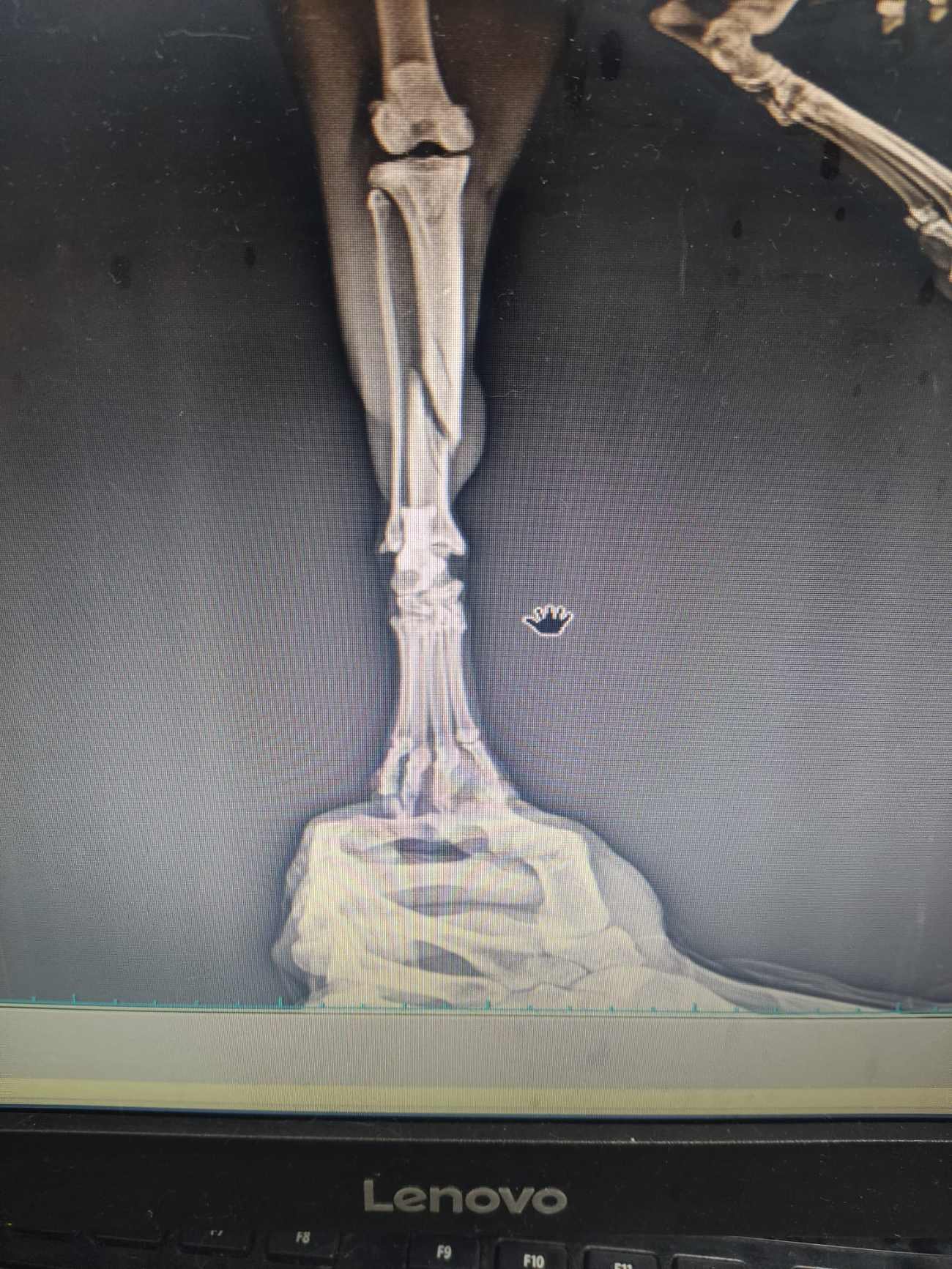 Keçiören Pınarbaşı Veteriner Kliniği