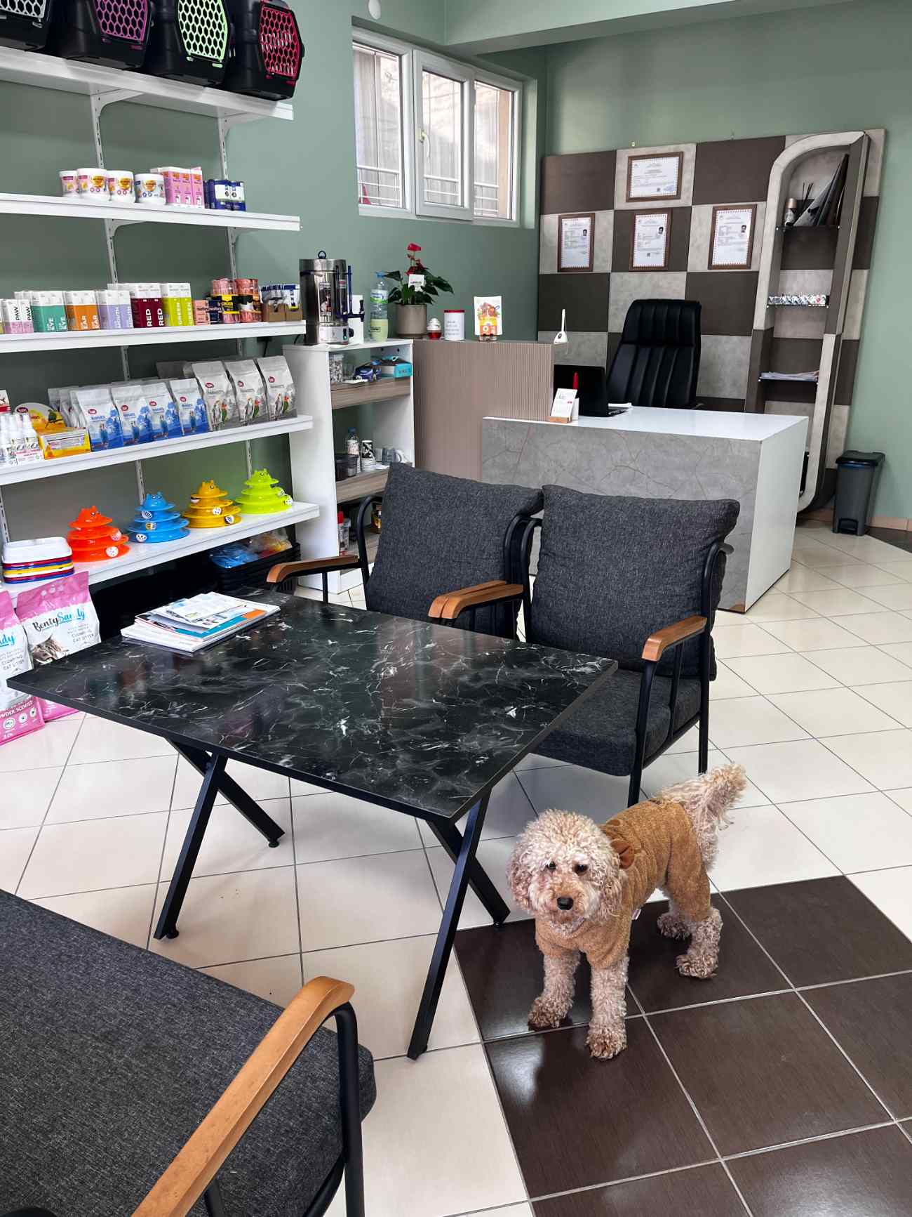 Bozkır Veteriner Kliniği - 2. Fotoğraf