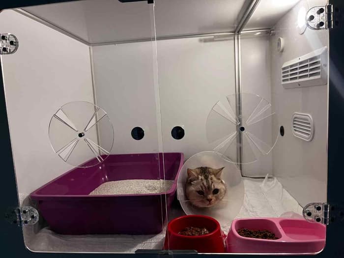 Bozkır Veteriner Kliniği - 5. Fotoğraf