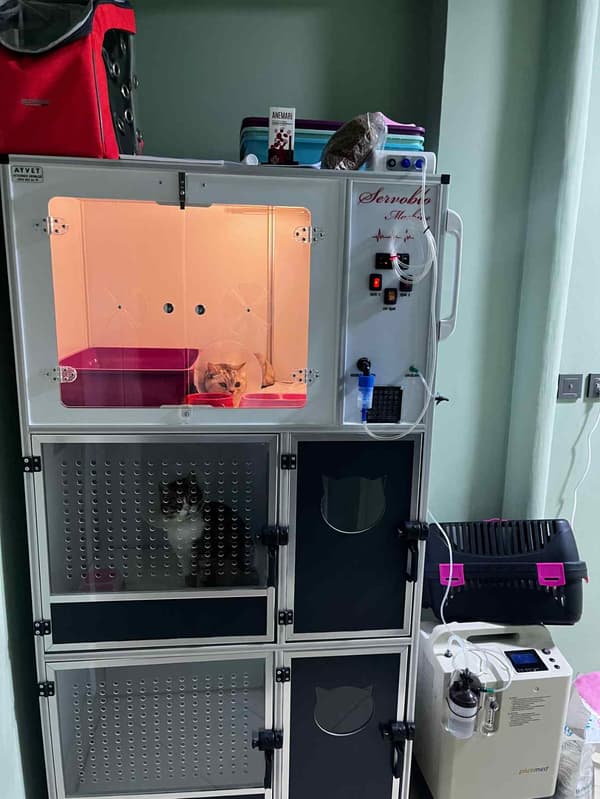 Bozkır Veteriner Kliniği - 9. Fotoğraf