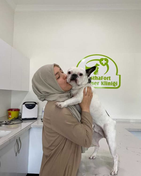 WesthaFort Veteriner Kliniği - 2. Fotoğraf