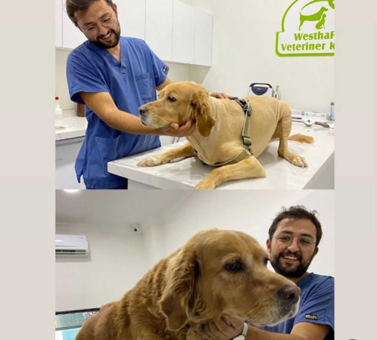 WesthaFort Veteriner Kliniği - 4. Fotoğraf