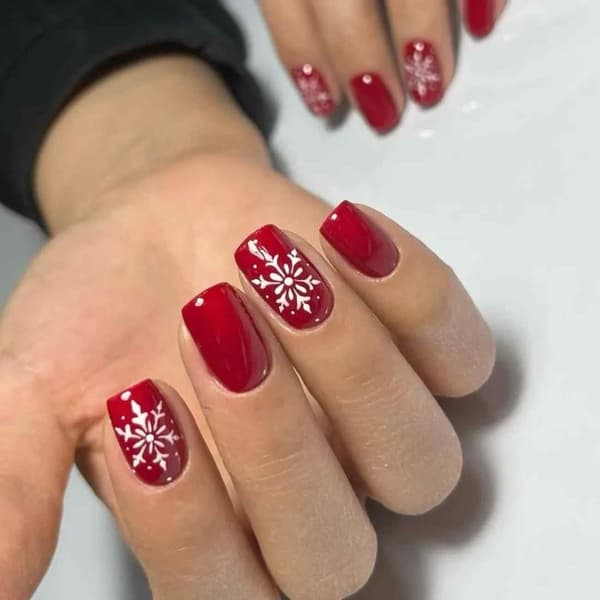 Didem Doğan Beauty - 3. Fotoğraf