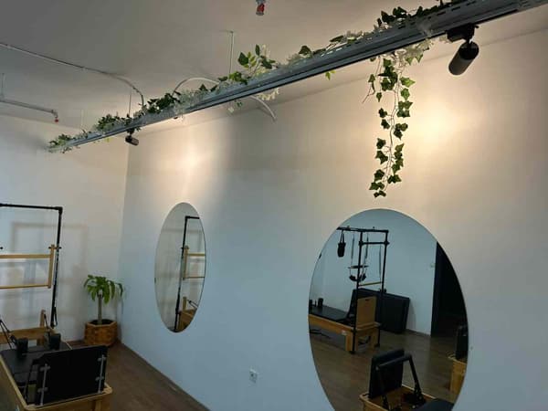 Cat GYM - 12. Fotoğraf