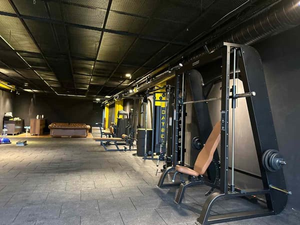 Cat GYM - 7. Fotoğraf
