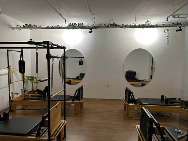 Cat GYM - 21. Fotoğraf