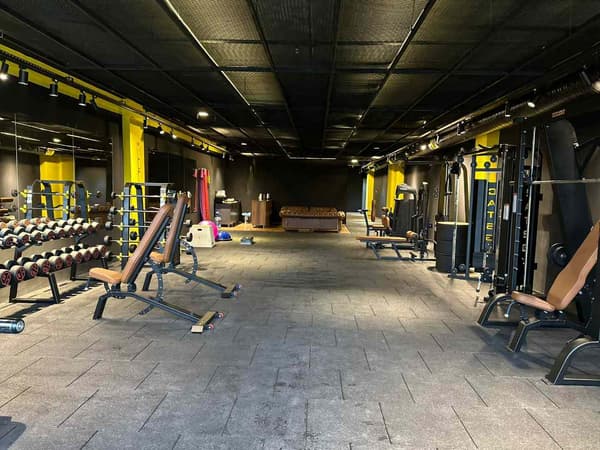 Cat GYM - 8. Fotoğraf