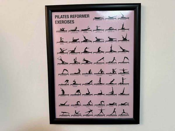 Cat GYM - 13. Fotoğraf