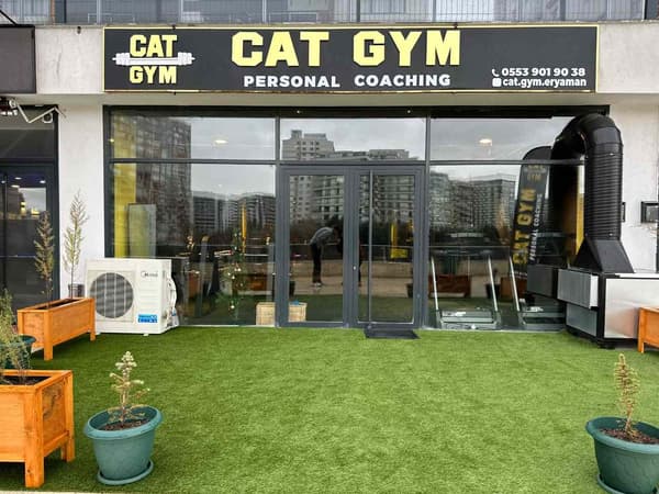 Cat GYM - 23. Fotoğraf