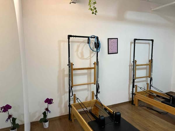 Cat GYM - 9. Fotoğraf
