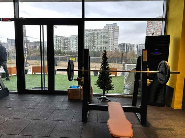 Cat GYM - 24. Fotoğraf