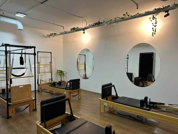 Cat GYM - 15. Fotoğraf