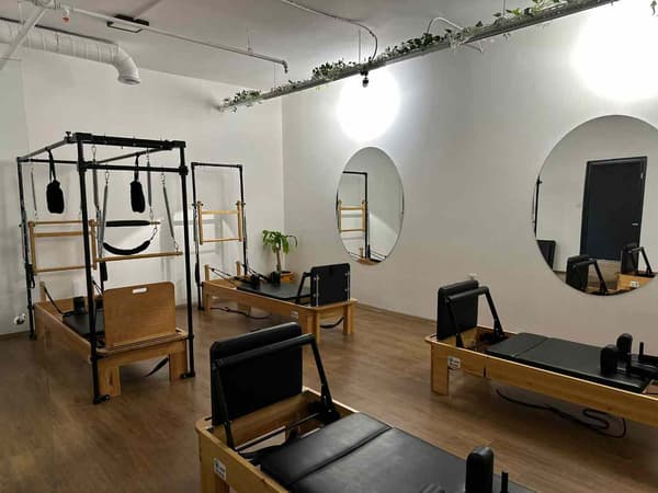 Cat GYM - 14. Fotoğraf