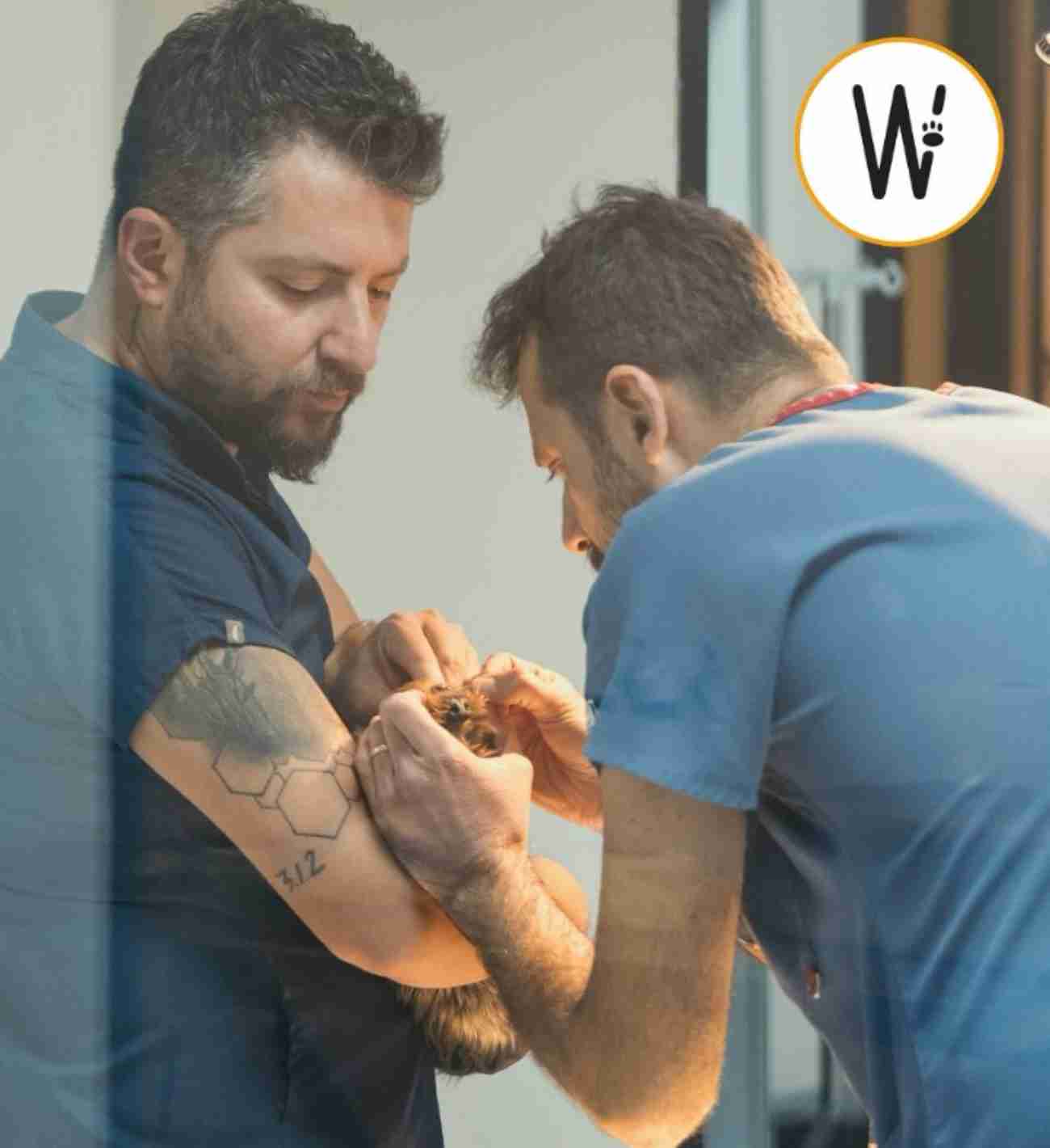 WestVet Hayvan Hastanesi - 3. Fotoğraf