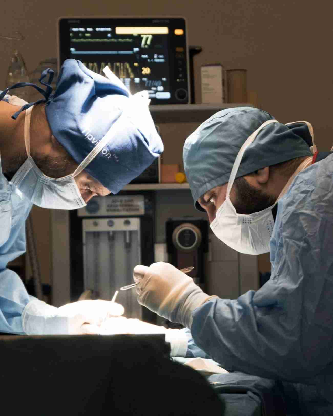 WestVet Hayvan Hastanesi - 2. Fotoğraf