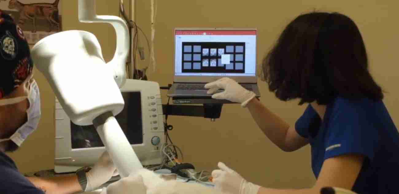 WestVet Hayvan Hastanesi