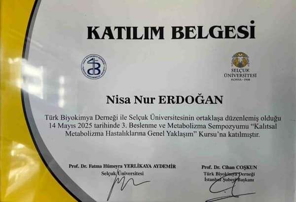 Dyt. Nisa Erdoğan Fonksiyonel Tıp - 14. Fotoğraf Dyt. Nisa Erdoğan Fonksiyonel Tıp - 14. Fotoğraf