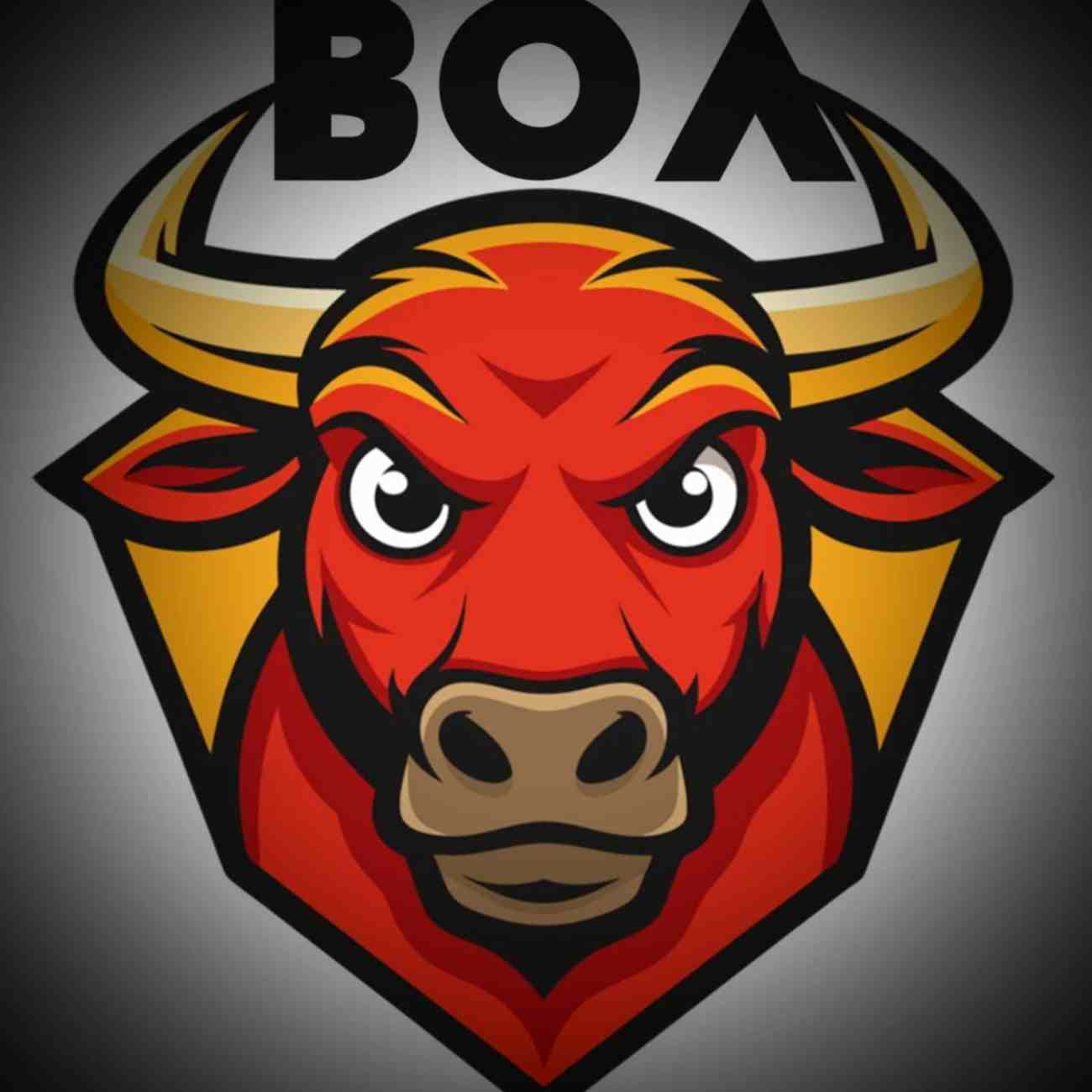 Başkent Oluşum Akademi