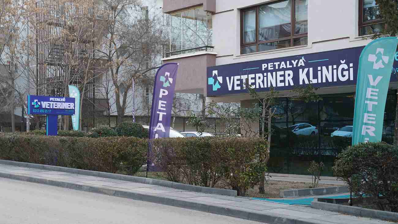 Petalya Veteriner Kliniği