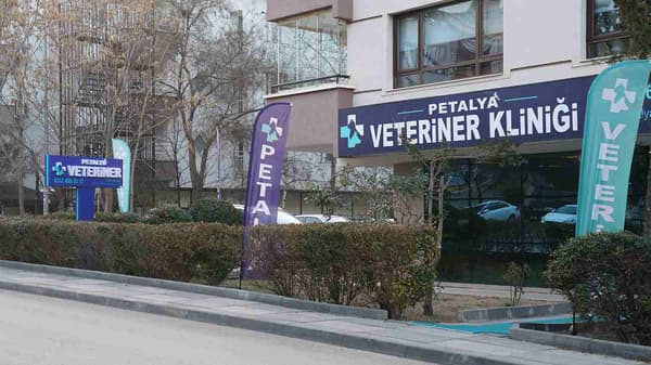 Petalya Veteriner Kliniği - 7. Fotoğraf