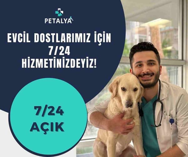 Petalya Veteriner Kliniği - 10. Fotoğraf