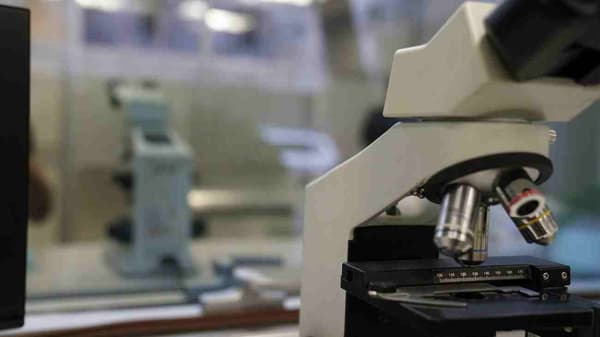 Petalya Veteriner Kliniği - 4. Fotoğraf