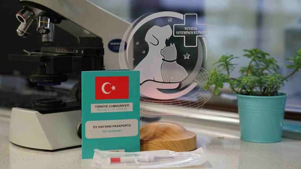 Petalya Veteriner Kliniği - 6. Fotoğraf