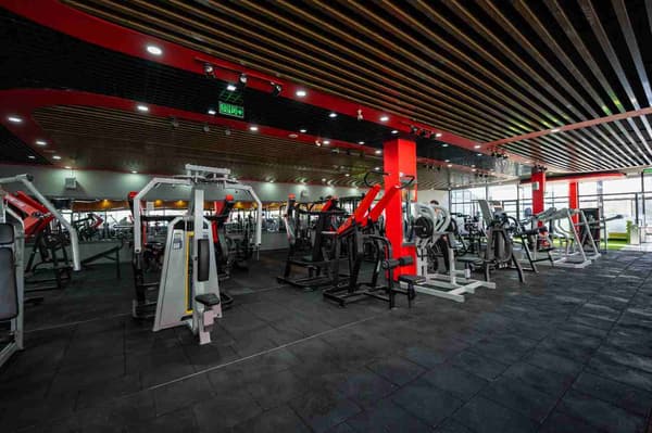 Neolife Gym - Yeni Batı - 10. Fotoğraf