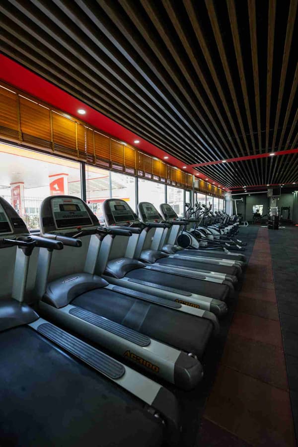 Neolife Gym - Yeni Batı - 13. Fotoğraf