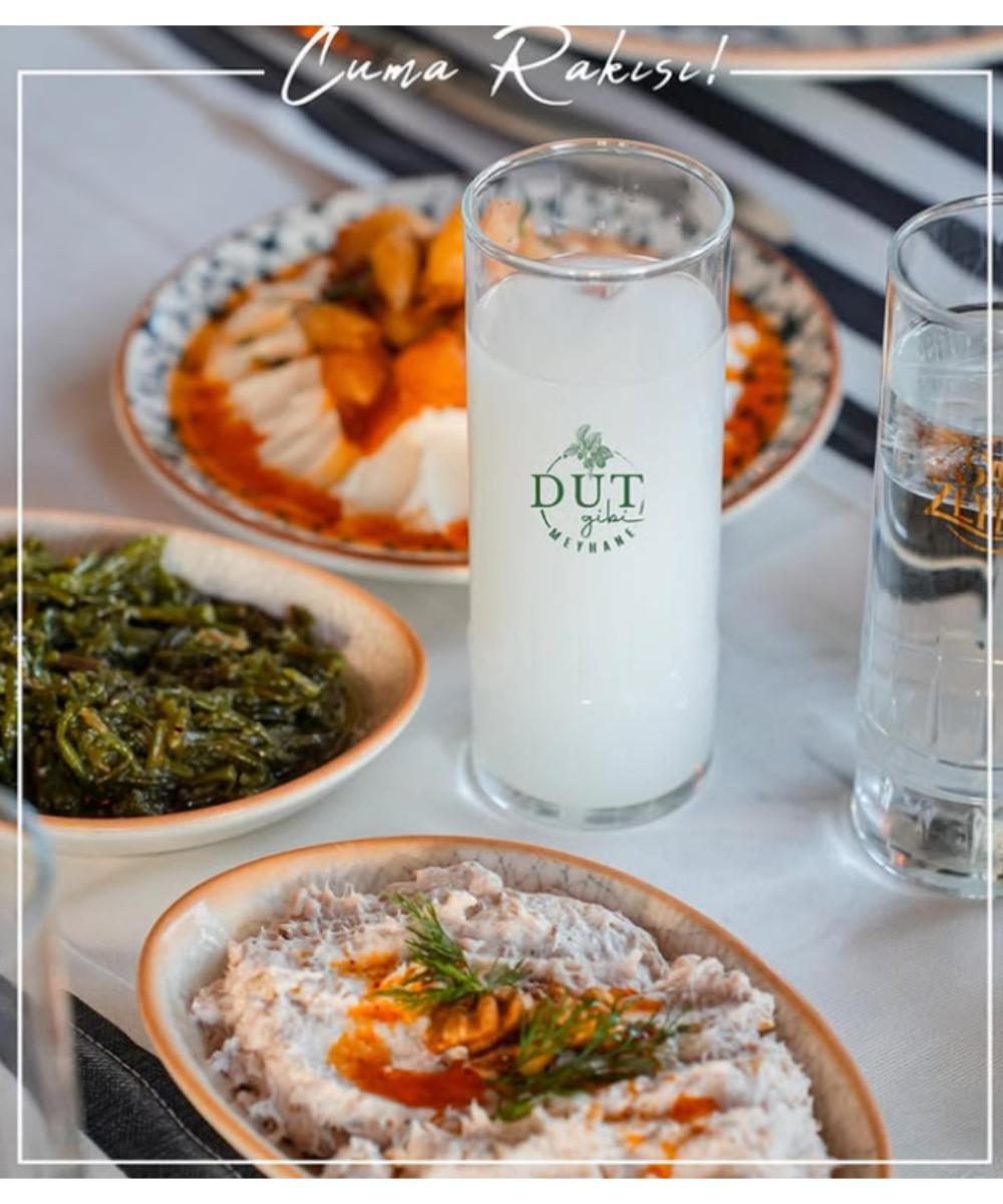 Dut Gibi Meyhane