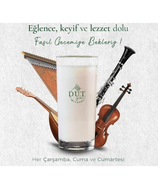 Dut Gibi Meyhane - 7. Fotoğraf