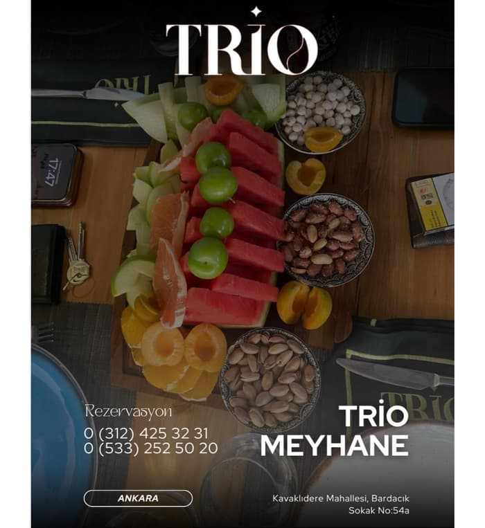 Trio Meyhane - 5. Fotoğraf