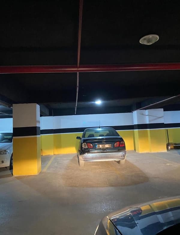 Palmiye Restoran - 10. Fotoğraf