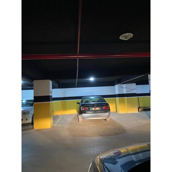 Palmiye Restoran - 8. Fotoğraf
