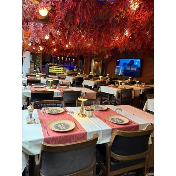 Palmiye Restoran - 19. Fotoğraf