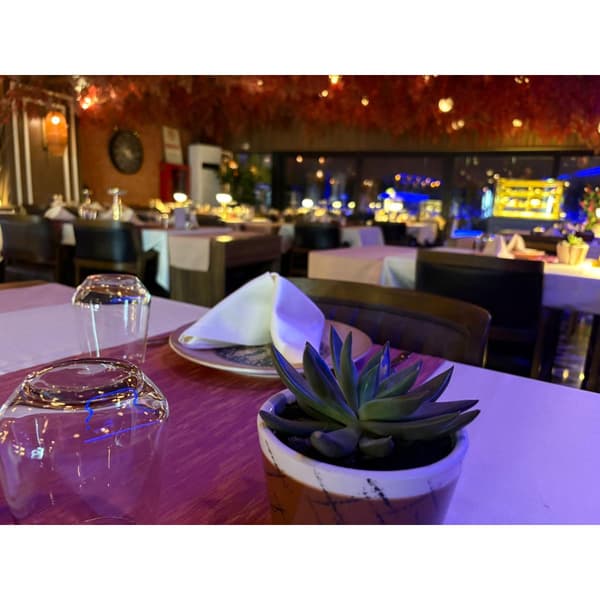 Palmiye Restoran - 5. Fotoğraf