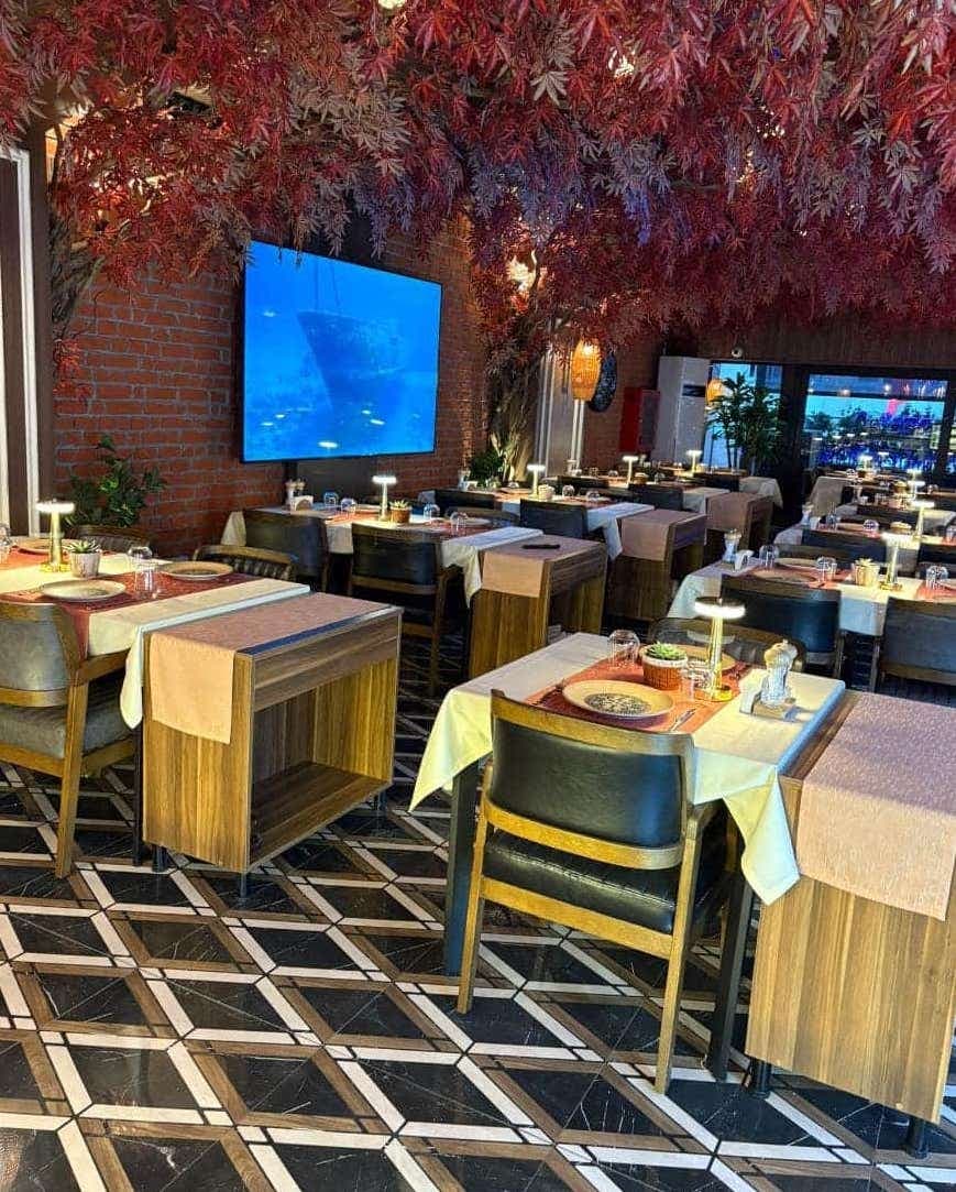 Palmiye Restoran - Seyranbağları  Alkollü Mekanlar - 2. Fotoğraf